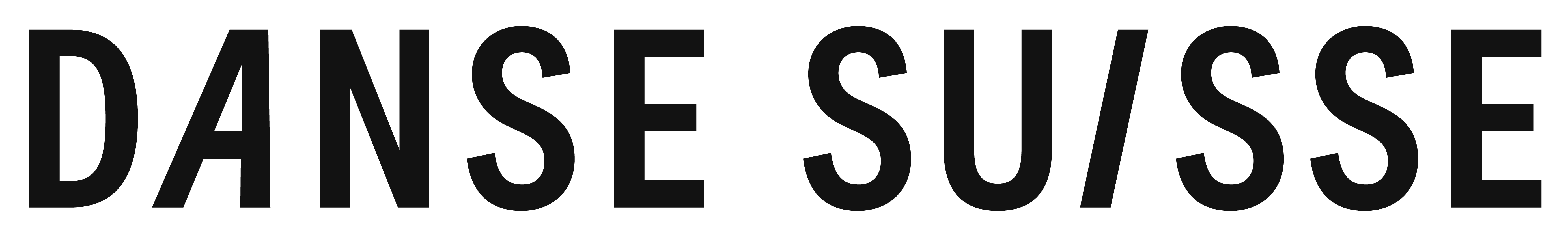 DS LOGO Horizontal schwarz